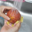 청송사과상회
