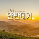 8월18 /19 무박 여름사냥 구름도 쉬어가는 구름 위 천상의 마을 안반데기 출사 이미지