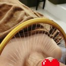 팜스힐링테라피