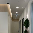 딩동댕꾸러기치과의원 | [성성동] 천안 어린이 치과 성성동 딩동댕 꾸러기 치과 영유아 검진 후기