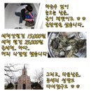 은파낚시