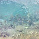 웰컴센터 관광안내센터 | 코타키나발루 3박5일 여행후기🇲🇾(세미패키지, 호핑투어, 아미고몰, 빈치, 웰컴씨푸드, 반딧불이투어)