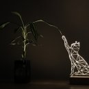 나도 고양이 생겼다 이미지