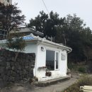 Salon Music 이미지