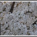 봉서2리 이미지