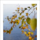 (주)고원 이미지