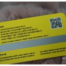 진성코퍼레이션 이미지