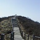 도상농장 Daum카페