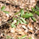 개산초등학교 이미지