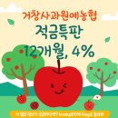 [경남] [거창군] 거창사과원예농협 적금 특판