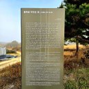 충희공 이인손 묘 | 여주 광주이씨 충희공 이인손 묘