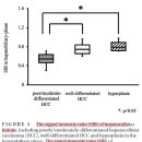 개의 primary hepatocellular lesions에 대한 CT 및 MRI상 findings 비교 이미지