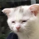 세컨더블비 이미지