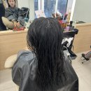 리호헤어