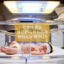 한림대학교성심병원 맞은편 성신약국 앞 | 신생아 황달 치료 후기(한림대 성심병원)