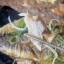 꾸어바666 이미지