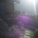 펜션정원 이미지