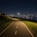 11 | 영라뉴 쉐이크 11kg 감량한 솔직 후기