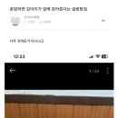 혼밥하면 앞에 강아지가 있어주는 설렁탕집 이미지