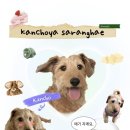 종려나무복지센터 이미지