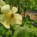 농업회사법인 꽃과사람주식회사 이미지