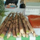 어양동사무소 이미지