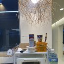 멍쿠실낭 이미지