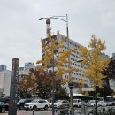 세븐일레븐 여의아일렉스점 | 241115 아일릿 틱택 뮤뱅 사녹 다녀온 후기