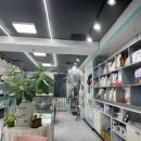 리얼독스 강아지분양 일산본점 이미지