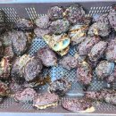 나니포차 이미지