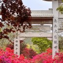 연인과산 | 영암 남미륵사 철쭉, 연인과 다녀온 전남 봄 여행지 후기