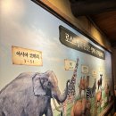 케빈하우스 | 아이와 함께 용인 에버랜드 : 1박 2일 케빈하우스, 워터밤, 로스트밸리, 아마존익스프레스, 판다월드...