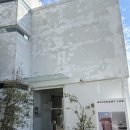 부산 가구 매장 편집샵 잭슨카멜레온 조명 쇼룸 무브먼트랩 후기