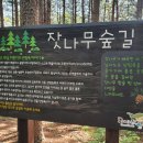관중 군락지 이미지