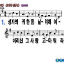 성자 이미지