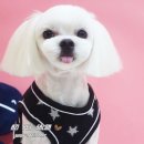 금동살롱 이미지