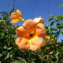 버스정류소_신성동 이미지