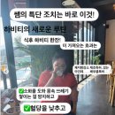 하비스쿨 | 하비스쿨 온라인챌린지 2기 완료