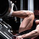 Yellow GYM 이미지