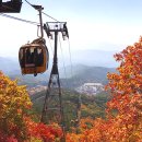 팔공산케이블카 이미지