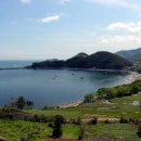 자연-이미지 이미지