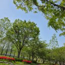 한강시민공원 이미지