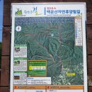 원주굽이길 원3코스 백운산자연휴양림길 이미지