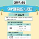크레이지 서퍼스