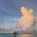 #1 여행사 없이 [몰디브 신혼여행] 준비하기 - 항공권, 리조트 예약