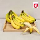 다인농장 이미지