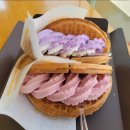 와플대학 - 송파구 백제고분로23길 31 | 와플대학