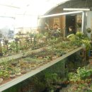 들꽃사랑 이미지