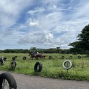 콘테이너목장 이미지