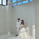왕짱 애견스쿨 | 부겐빌리아 스튜디오 촬영 후기(+애견동반)